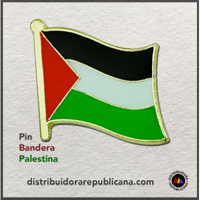 Pin Bandera del Pueblo Palestino