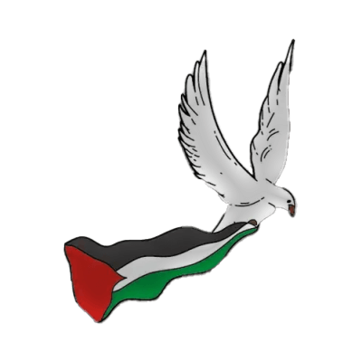 Pin Puño Palestino